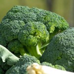 Sałatki i surówki z brokułów