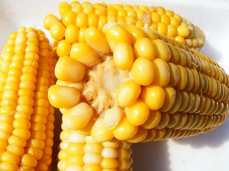 Sałatki i surówki z kukurydzą